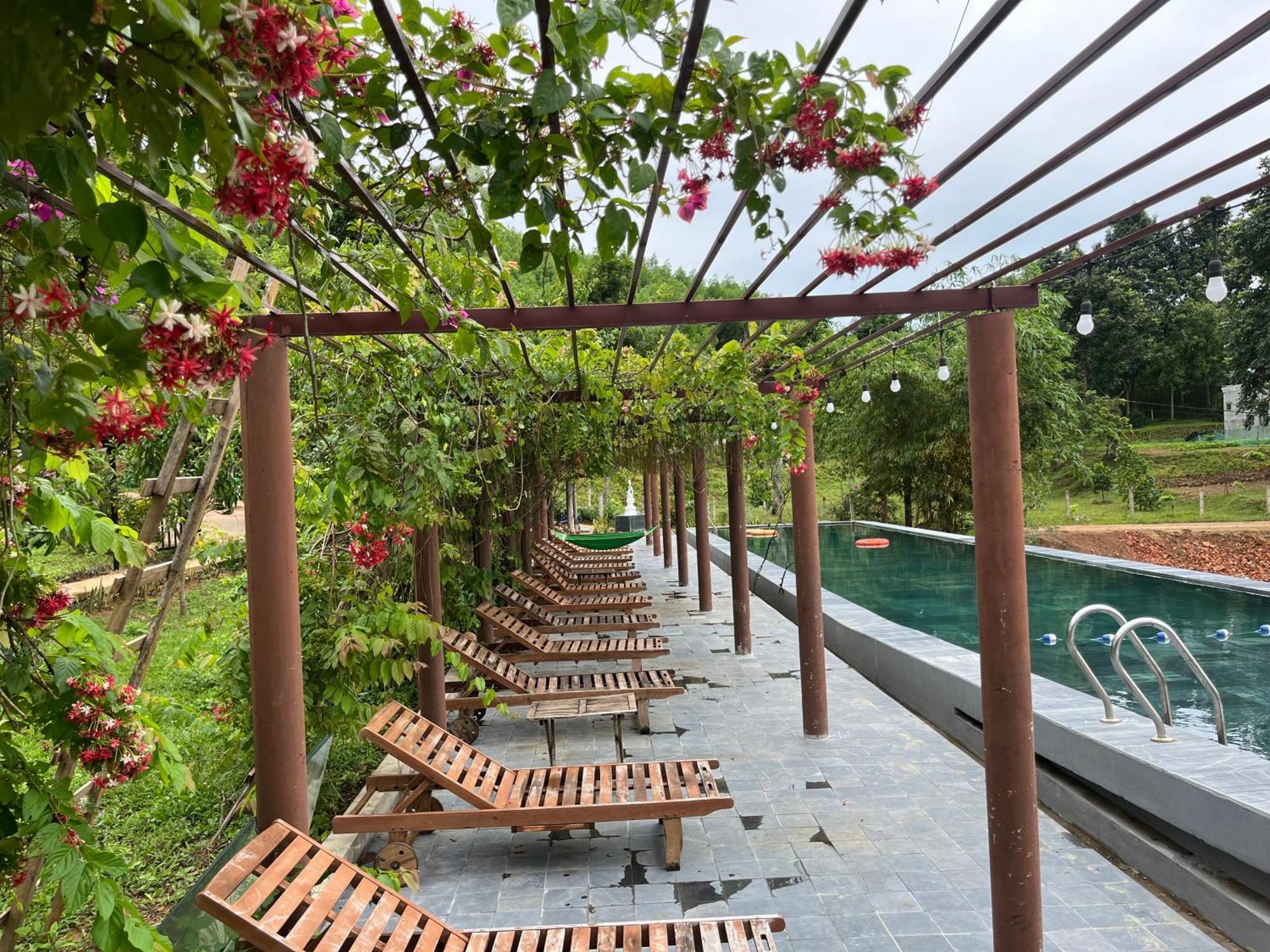 Nguyen Shack Retreat Resort Phong Nha Eksteriør bilde