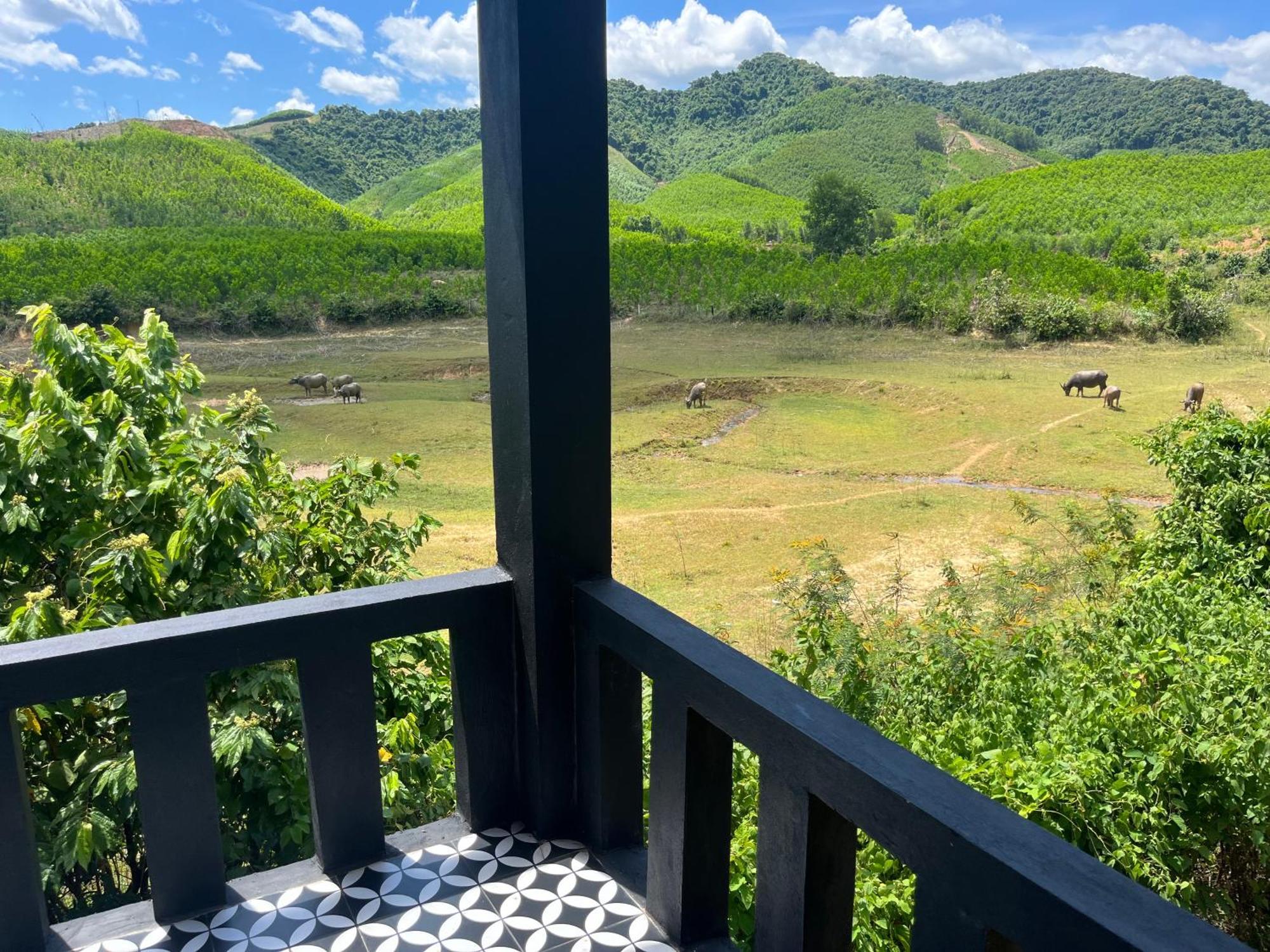 Nguyen Shack Retreat Resort Phong Nha Eksteriør bilde