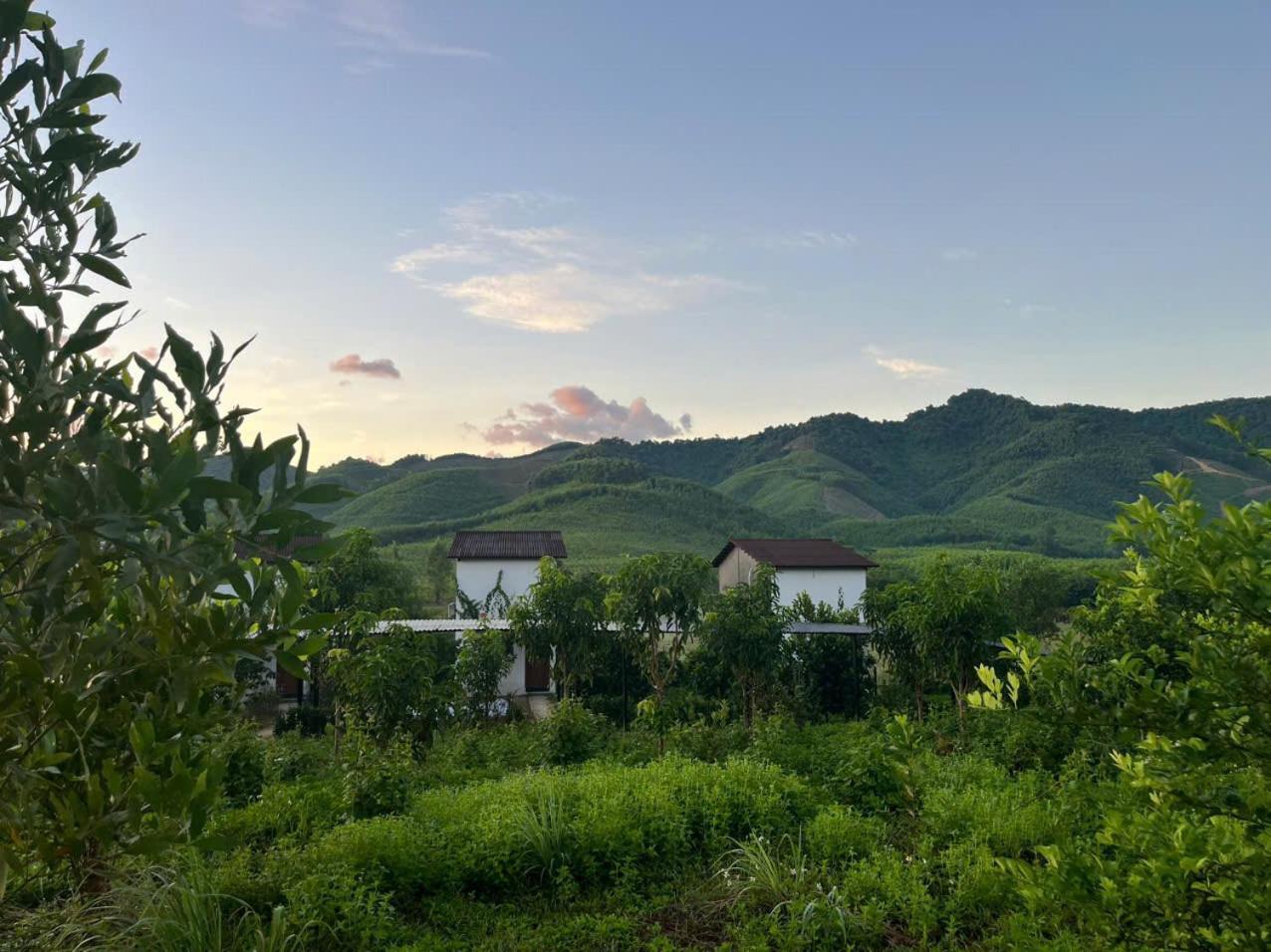 Nguyen Shack Retreat Resort Phong Nha Eksteriør bilde