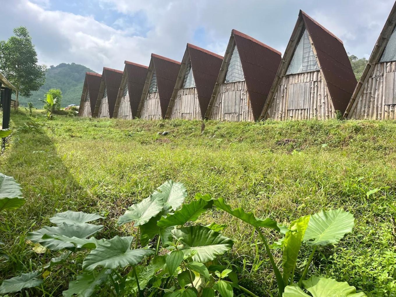 Nguyen Shack Retreat Resort Phong Nha Eksteriør bilde